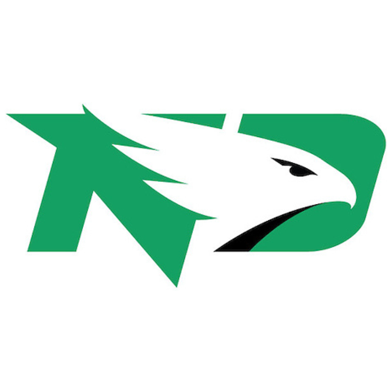 North Dakota Fighting Hawks iron ons